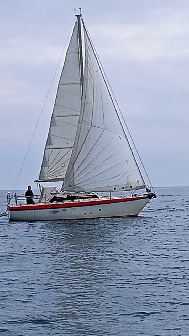 1983 Etap etap 28 — photo 11