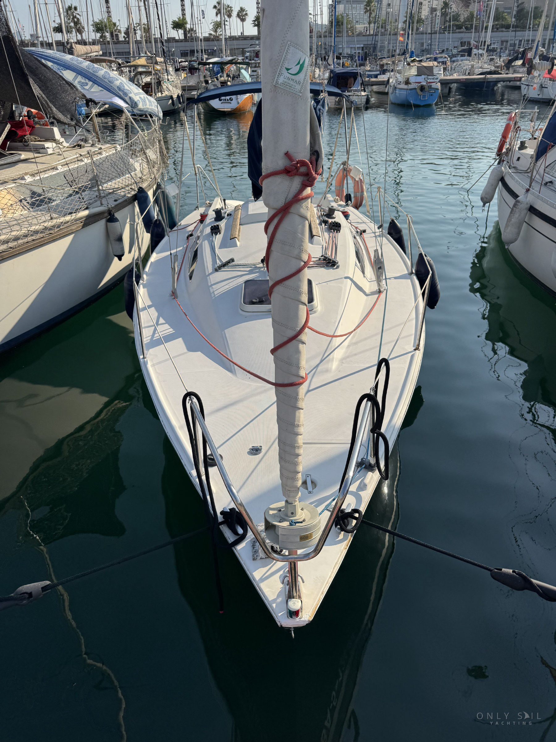 1994 Taylor Somo 23 — foto 6